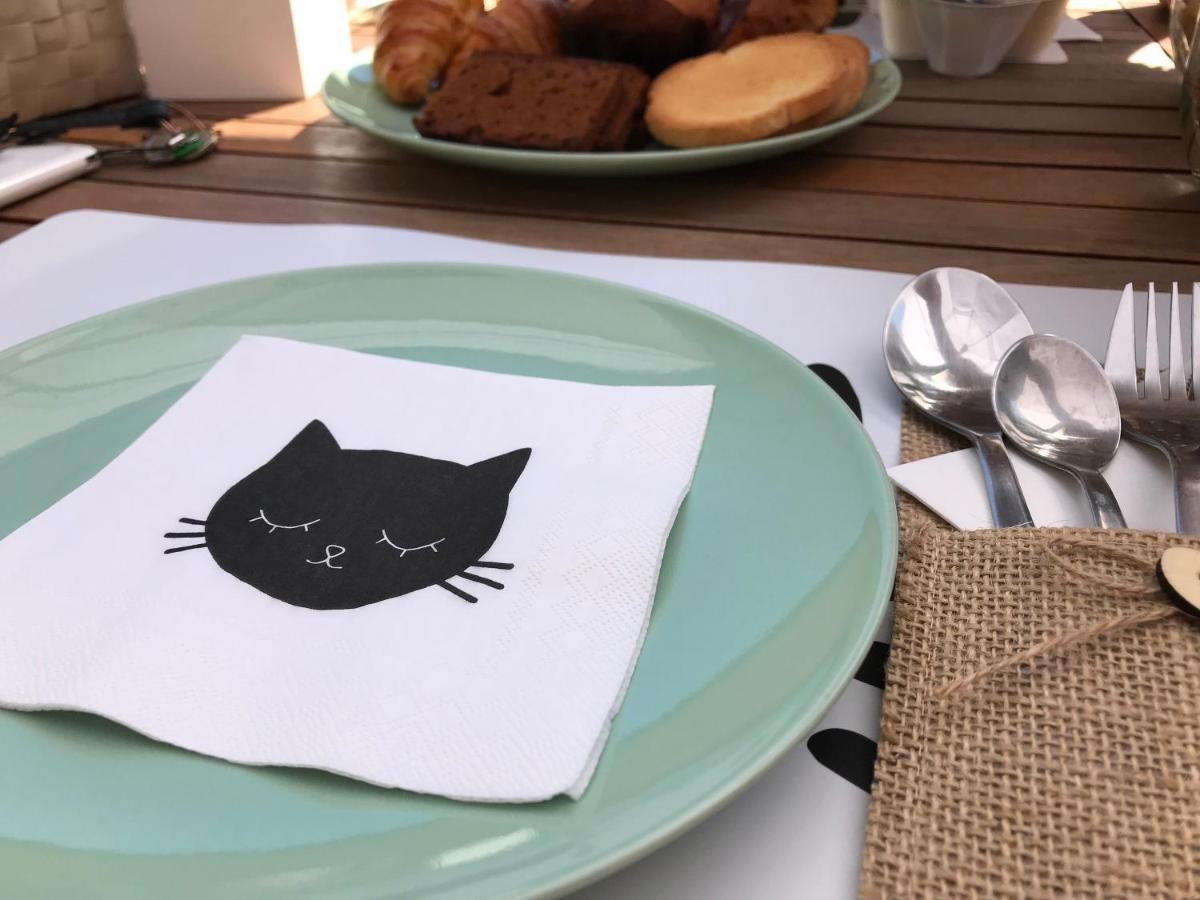 Il Gatto Stanco B&B Arona Zewnętrze zdjęcie